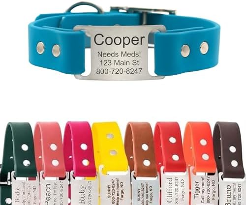 dogIDs Personalized Dog Collar – ScruffTag Custom Waterproof Biothane Dog Collar with Laser-Engraved Name, Durable & Odor-Resistant – USA Made | Tropical, 1 in x 22 in (Fits Neck Sizes 20-24 in)
