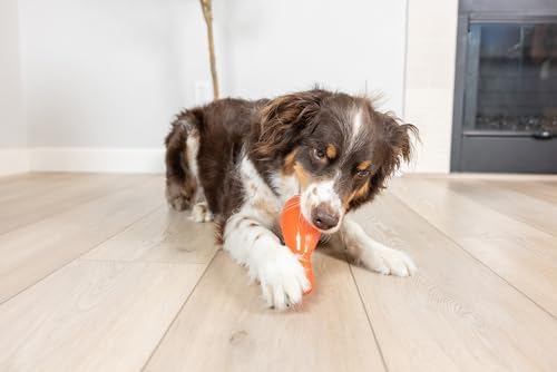 Chuckit! Bones Crunch Drumstick Treat Puzzle Dog Toy, Medium, Orange – Turkey‑Scented Drumstick‑Shaped Chew & Treat Puzzle Toy for Dogs 20–50 lb – Crunch Sound & Treat Stuffing– Pack of 1