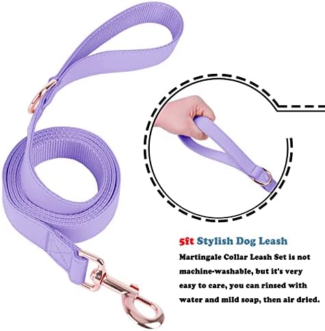 Soft Leather Martingale Dog Collar - Adjustable Rose Gold Limited Slip Collars [Easy to Clean], Stylish Durable Heavy Duty Nylon No Pull Training Collar for Small Medium Large Dogs (XS, Set Purple)