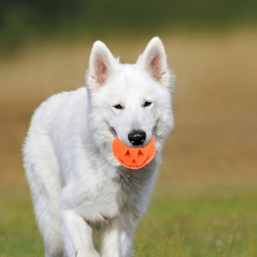 BESPORTBLE 4pcs Pumpkin Squeaky Dog Toy for Aggressive Chewers Funny Halloween Puppy Interactive Play Toys for Small/Medium/Large Dogs