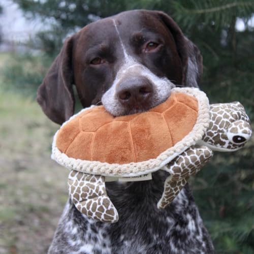 Tall Tails Plush Animated Moving Toy for Dogs, Sea Turtle