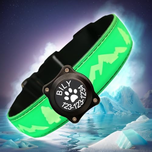 Personalized Light up Dog Collars Rechargeable with Waterproof airtag Holder for Black Dog Night Walking (Green Collar 15 Modes Lighting, S(7.87-11.8"))