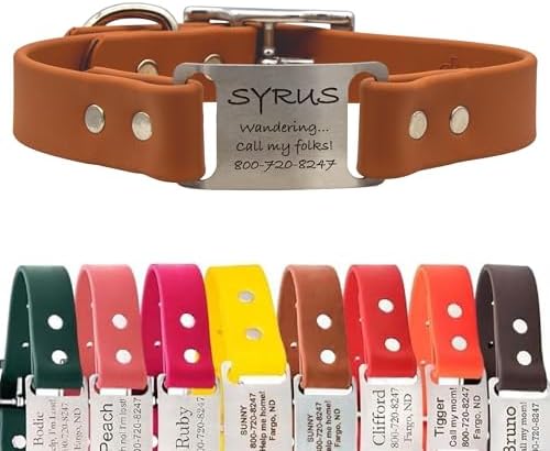 dogIDs Personalized Dog Collar – ScruffTag Custom Waterproof Biothane Dog Collar with Laser-Engraved Name, Durable & Odor-Resistant – USA Made | Terracotta, 1 in x 16 in (Fits Neck Sizes 14-18 in)