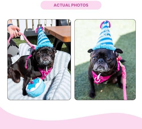 Glow Pups Dog Birthday Cake Plush Toy, Squeaky, Promotes Mental Stimulation & Interactive Play, Easy to Clean, Soft Chewable Squeaky Dog Toys for Any Celebrations, Blue