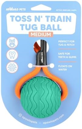 Dog Ball Toy with Rope, Durable EVA Foam Floating Dog Toy, Interactive Fetch & Toss n’ Train Tug Ball for Dogs, Bouncy Pet Ball for Outdoor Indoor Play - Green, Medium