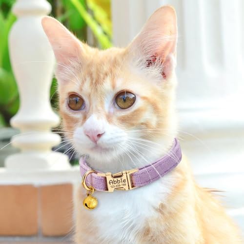 Personalized Cat Collar Custom Engraved with Name - Adjustable Cat Collar & Leash Set with Phone Number, Custom Cat Collar Chain, Unique Gift for Your Cat