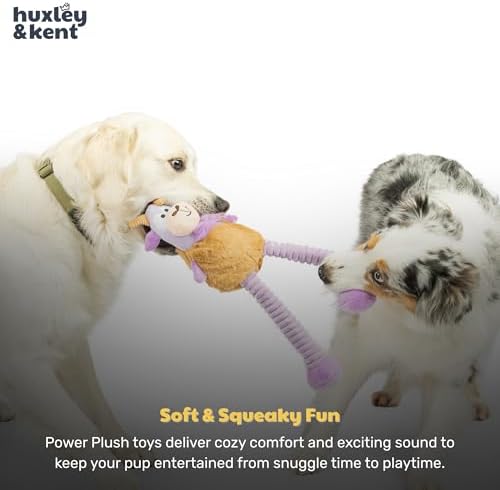 Huxley & Kent Funny Dog Toy w/Squeaker – Power Plush Squeaky Dog Toys for Small, Medium & Large Dogs – Soft Stuffed Animal for Indoor Play & Fetch - Squeak to Crunch - Lankies Vincent Van Goat, Large | Crunchy Bottle Core, Crinkle Legs & Squeaky feet, ...