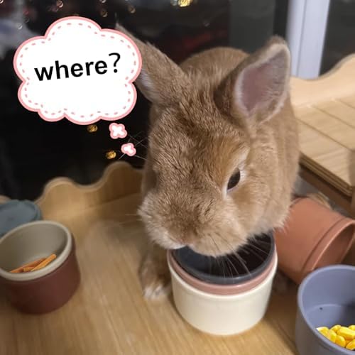 8 PCS Bunny Toys Bunny Cups Stackable Guinea Pig Stacking Cups
