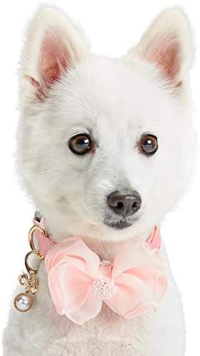 Blueberry Pet Cutie Accessory Set of Floral Collar Bow and Pedant for Dogs & Cats, Pink Flower Decor and Pearl Pendant