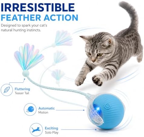 Interactive Cat Toy Ball with LED Lights – USB-C Rechargeable Automatic Feather Teaser for Indoor Cats & Kittens, Fun Chase & Exercise Toy
