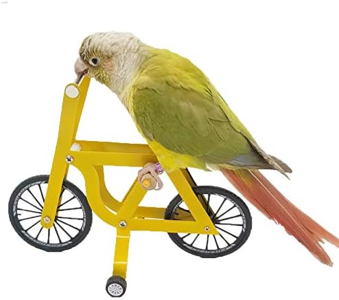 QBLEEV Bird Intelligence Training Toy - Parrot Puzzle Bicycle for Birds