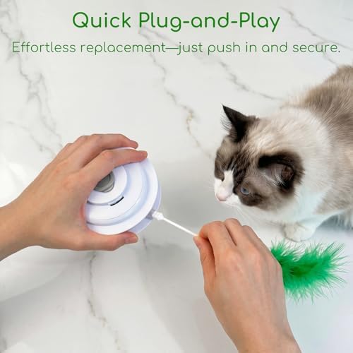 6-Pack Replacement Feathers for Hide and Seek Interactive Cat Toy, Upgraded Durable Wand Attachments Compatible with Umosis and Sofolor Automatic Kitten toys, Moving Feather Refills for Indoor Cats