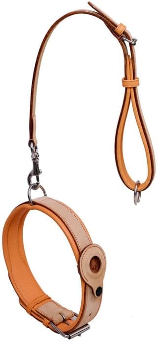 Airtag Luxury Real Leather | Genuine Leather Soft Padded Dog Collar for Medium Large Dogs Ultra | Leather with Anti -Rust Hardware (Size - XL) Fits Neck 21, 22, 23, 24 & 25 inches