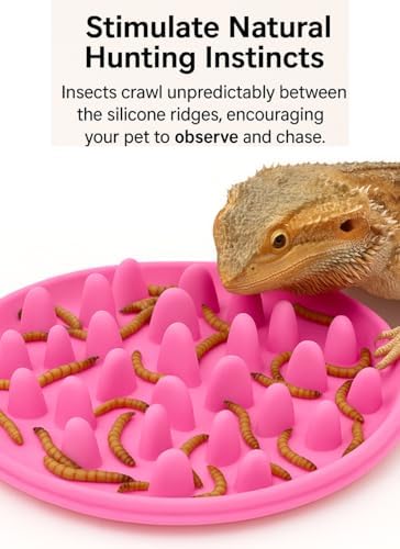 2-in-1 Bearded Dragon Enrichment Toy & Feeding Bowl – 2Pcs Reptile Bowl - Mealworms & Cricket Dish for Gecko, Bearded Dragon & Chameleon - Bearded Dragon Toy for Boosts Natural Instincts & Exercise
