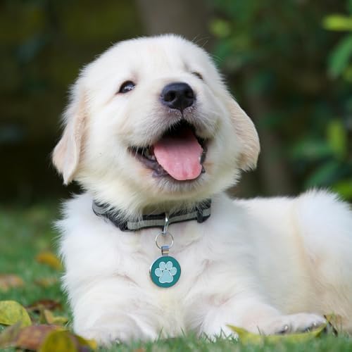 MYLUCKYTAG QR Code Pet ID | Personalized Dog & Cat Collar Tag | Online Profile with Instant Scanned Location Alert Email