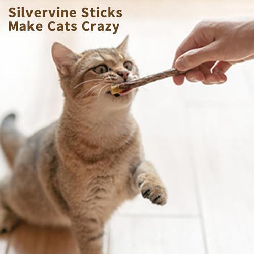 [ 15pcs Silvervine Sticks for Cats, Matatabi Cat Chew Sticks, Catnip Toys, Wooden Dental Sticks for Indoor Cats, Kitty, Kitten Teething Interactive Wand Toys