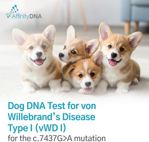 Dog von Willebrand DNA Test for von Willebrand’s Disease Type I (vWD I) | Home Sample Collection Kit for 1 Canine| Puppy vWD I Testing Kits | Results in 10-15 Days with No Extra Fees