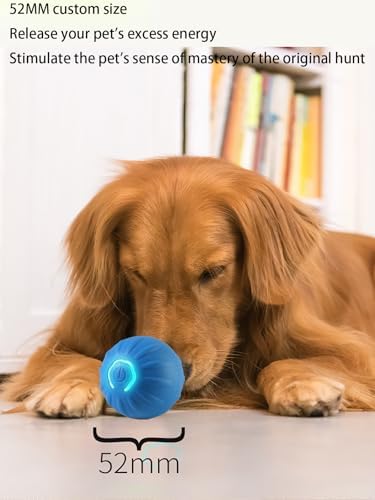 Winb Interactive LED Dog Ball （2 inch）- USB Rechargeable Motion-Activated Rolling Toy for Small Dogs, Dogs Ball Play and Wicked Fun