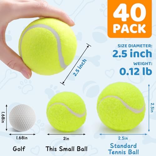 Tennis Balls for Dog 2.5'' Durable Non-Toxic Outdoor Dog Toys Balls with Mesh Bag,Colorful Fetch Toys Balls for Medium Dog (Non Squeaky)