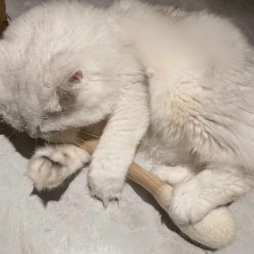 5Pack Wool Swabs Cat Toys with Catnip - Soft Plush Kicker Toys - Interactive Kitty Kick Sticks for Cat - Sturdy Teething Chew Toy (White)