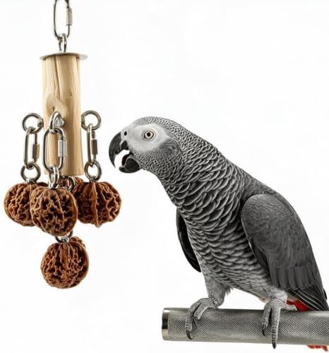 AOTU Bird Toys for Cockatiels Parrot Toys for Large Birds 304 Stainless Steel and Natural Hardwood Chew Toy for Macaw, Cockatoo African Greys Medium to Large Parrots Safe and Durable (Hard Walnuts)