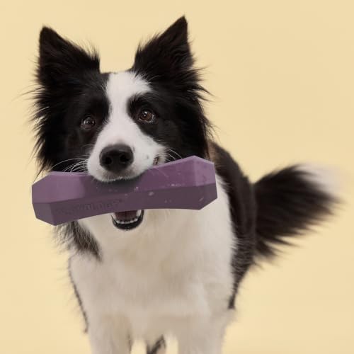 Playology Squeaky Chew Stick - Scented Dog Toy - Jumbo, Bacon Scent