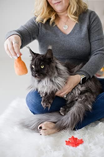 Pearhead Fall Maple Leaf and Syrup Cat Toys, Set of 2