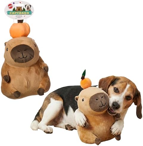 SPOT Capybara with Orange Plush Dog Toy, Soft Stuffed Squeaky & Crinkle Toy for Calm and Gentle Play, Adorable Capybara, for Light Chewers and Small Dogs, 8 Inch