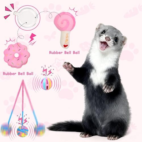 17Pcs Ferret Toys Set, Interactive Chew & Enrichment Toys for Small Pets