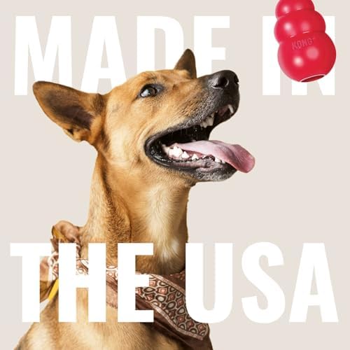 KONG Ring - Natural Rubber Ring Toy for Healthy Chewing Habits - Chew Toy Supports Dog Dental Health - Dog Toy Supports Instincts During Playtime - for Medium/Large Dogs (Pack of 4)