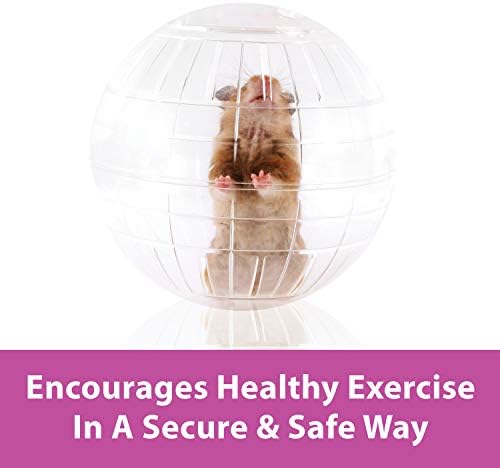 Kaytee 11.5" Clear Run-About Exercise Ball for Hamster & Gerbil Pets
