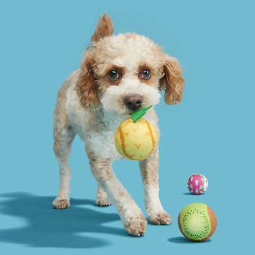 BarkBox Tropicatch Fruit Dog Toy - 3-Pack - Toy for Small to Medium Dogs