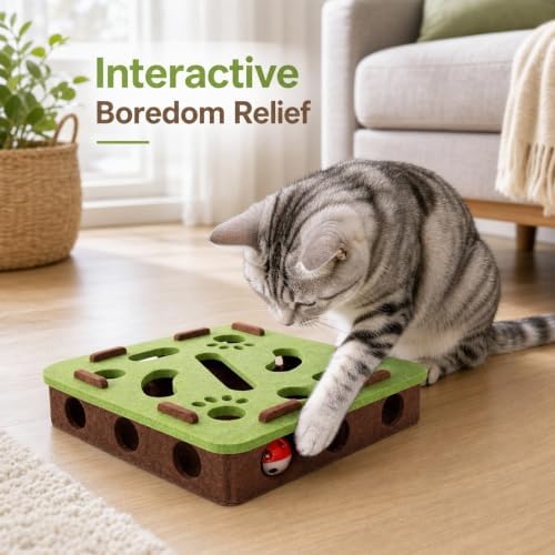 Interactive Cat Puzzle Toy, Mental Stimulation Box with 3 Balls, Indoor Cat Brain Training Game, Green for Kitten Enrichment
