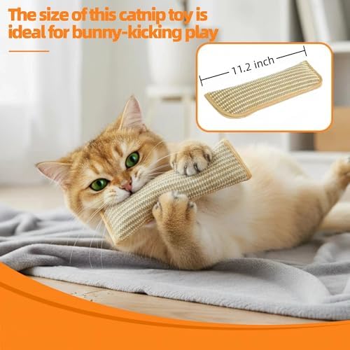 Catnip Sisal Pillow Toy, 2 Pack Catnip Pillow Toy