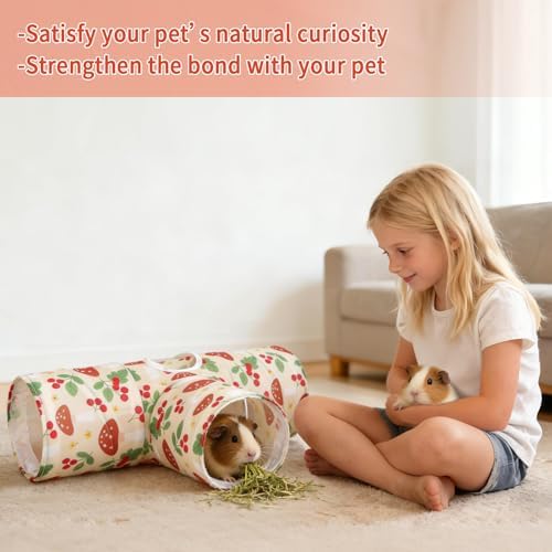 Rypet Guinea Pig Tunnel Hideout 3-Way Collapsible Small Pet Tubes, Cherry