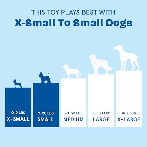 BarkBox Chewz Ballz Dog Toy - 3-in-1 - for Medium to Large Dogs