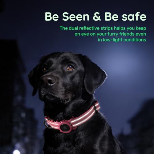 Reflective Dog Collar with AirTag Holder, Waterproof Dog Collar with QR Code, Heavy Duty Adjustable Pet Collar for Small Medium Large Dogs, Rose