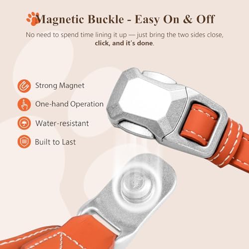 Magnetic Dog Collar and Leash Set with Quick Release Buckle, Easy On & Off Faux Leather Puppy Collar with 4FT Leash for Small, Medium Dog