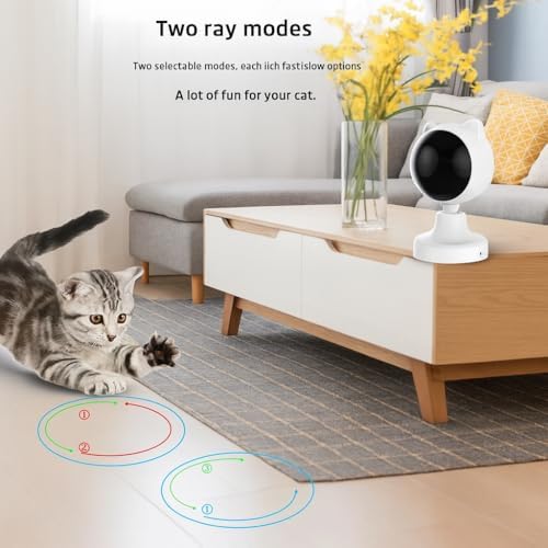 Smart Interactive Cat Toy – USB Rechargeable Motion-Activated Teaser in Box, Indoor Play for Active Cats, Hands-Free Entertainment