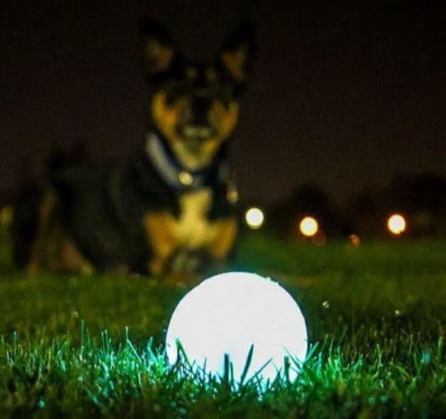 Chuckit! Max Glowin the Dark Bouncy Ball for Dogs, Large 3in, 1 Pack