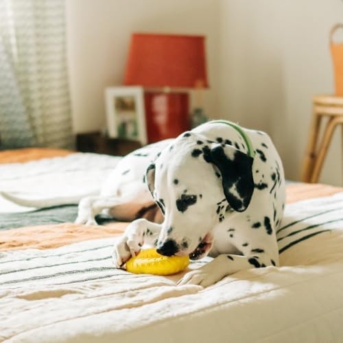 Playology Dual Layer Ring Dog Toy for Aggressive Chewers, Chicken Scent