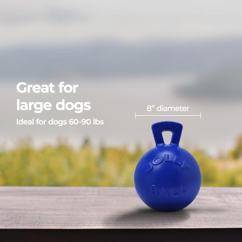 Jolly Pets Tug-n-Toss Dog Toy Ball with Handle, 8 Inches/Large, Blue
