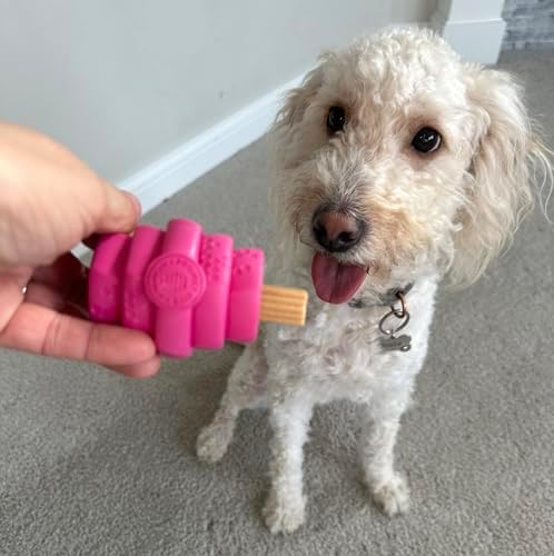 Hive Chew Toy for S/M Dogs – Pink/Wild Berry Scent – Chew, Fetch, & Treat-Dispensing Enrichment Toy, Floats, Made in USA, Pairs with Hive Chew Sticks for S/M Dogs for Longer-Lasting Play