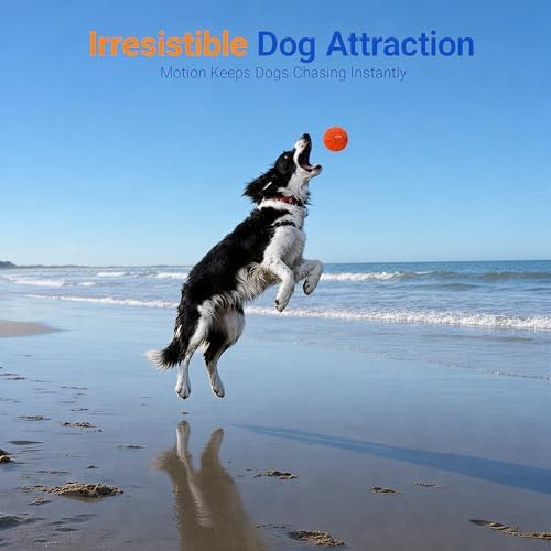 T02 Replacement Dog Ball Shell, 82mm, 90g Lightweight, Orange