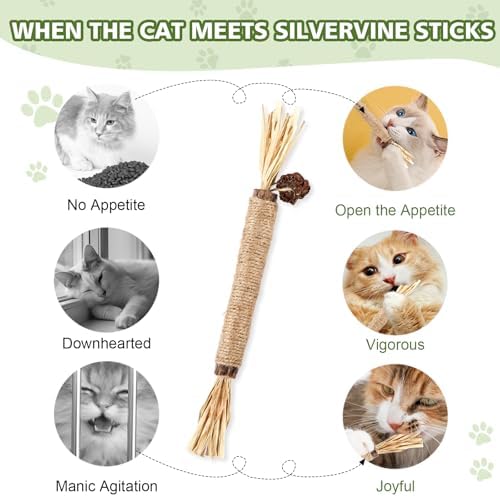 WOUSEDO 6 Pack Silvervine Sticks for Cat, Natural Catnip Toys