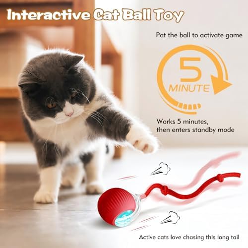 Interactive Cat Ball Toys for Indoor Cats, Peppy Pet Ball, 2025 Upgraded Automatic Kitten Toy for Bored Indoor Adult Cat, 360°Smart Rolling Toy (Red)