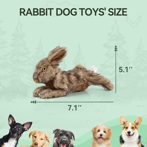ALL FOR PAWS Classic Rabbit Squeaky Doy Toy, Bunny Dog Toy for Small Medium Breed, Puppy Fetch Toy with Squeaker, Plush Chew Dog Toy, Brown Rabbit -Small Size