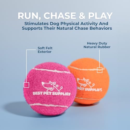 Best Pet Supplies Interactive Squeaky Dog Chew Toy, Ideal Dog Toys for Chewers, Small, Medium & Large Dogs, and Fetch Lovers - Tennis (Assorted Color), Large (Pack of 4)