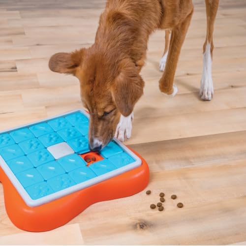 Outward Hound Nina Ottosson Challenge Slider Dog Toy Treat Puzzle, 14.7" | Level 3 Advanced, 24 Hidden Treat Compartments, Wet or Dry Food, Interactive Enrichment, Easy Clean, No BPA, Dogs & Puppies