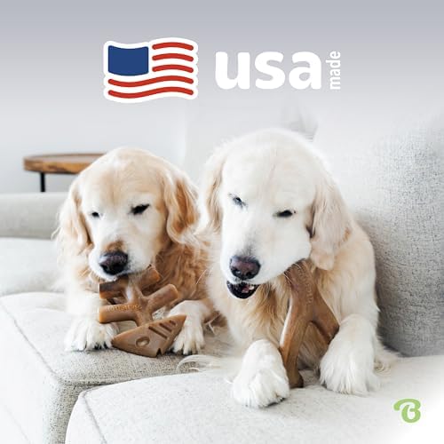 Benebone 2-pack Fishbone/Wishbone Durable Dog Chew Toys, Dog Bones, Small